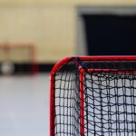 Legal Sports Betting Sites Accommodating Hockey Bets